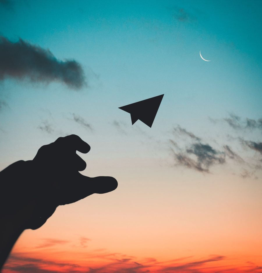 Your Attitude Determines Your Altitude