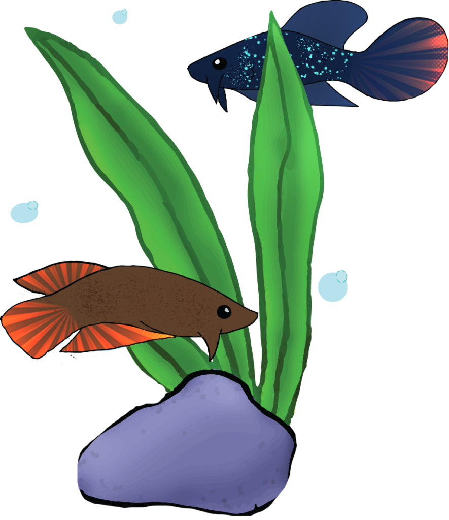 You Beta Believe It Design