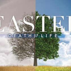 From Death To Life