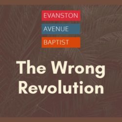 The Wrong Revolution