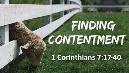 #16 in the “Back to Basics” Series