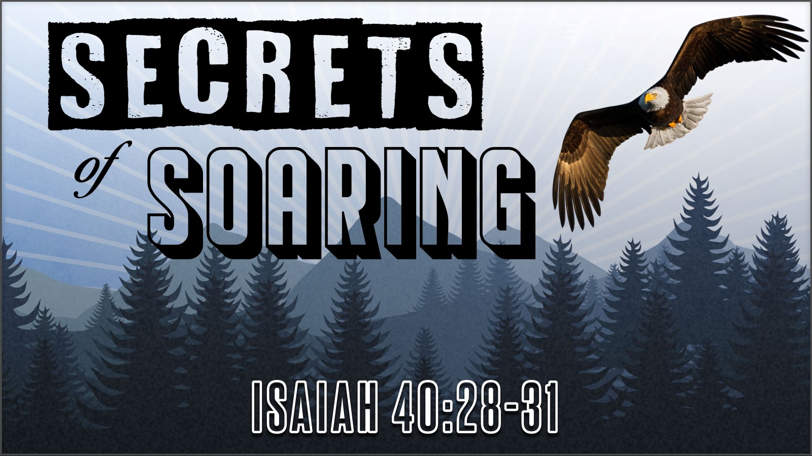 #5 Secrets of Soaring